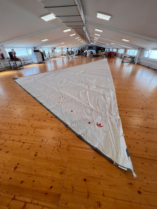 2025 Elvstrøm Genoa